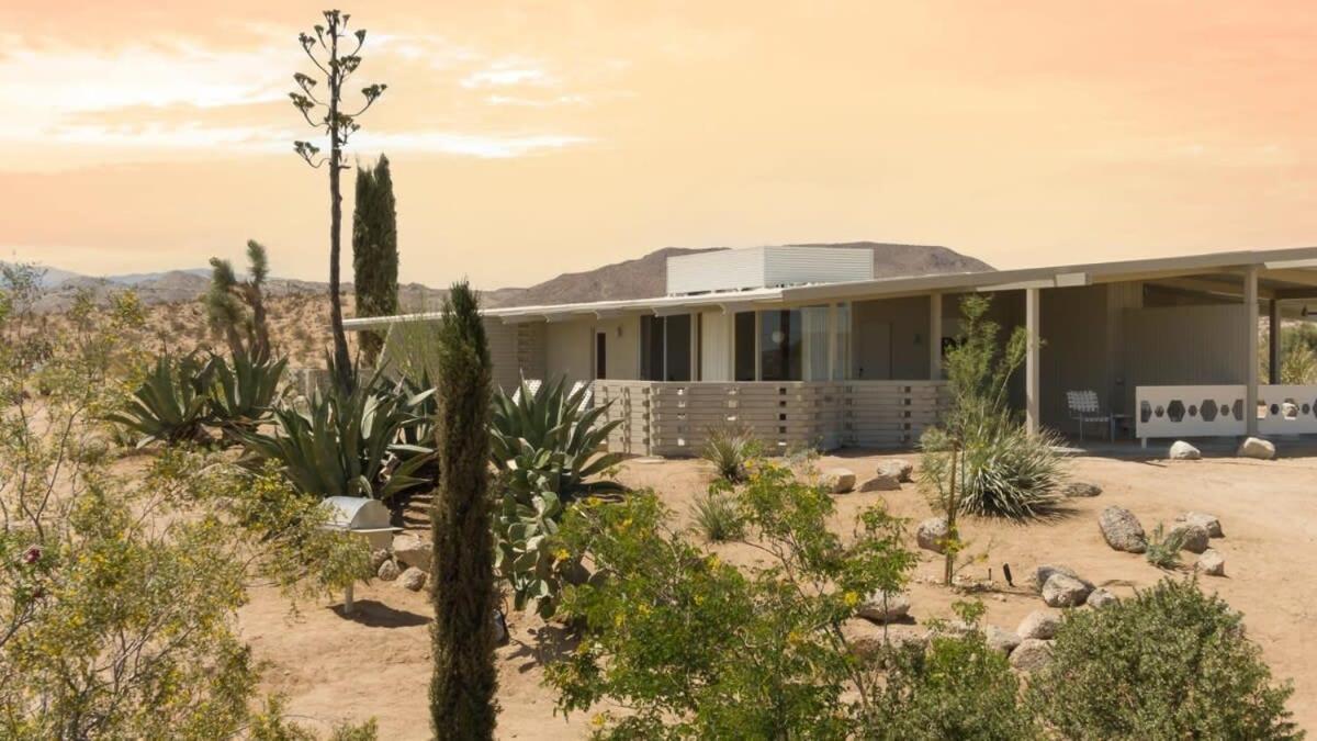 The Bungalows By Homestead Modern Joshua Tree Εξωτερικό φωτογραφία