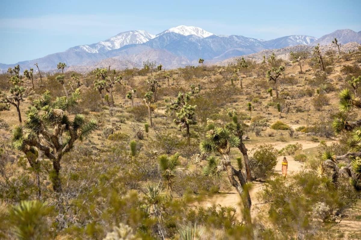 The Bungalows By Homestead Modern Joshua Tree Εξωτερικό φωτογραφία