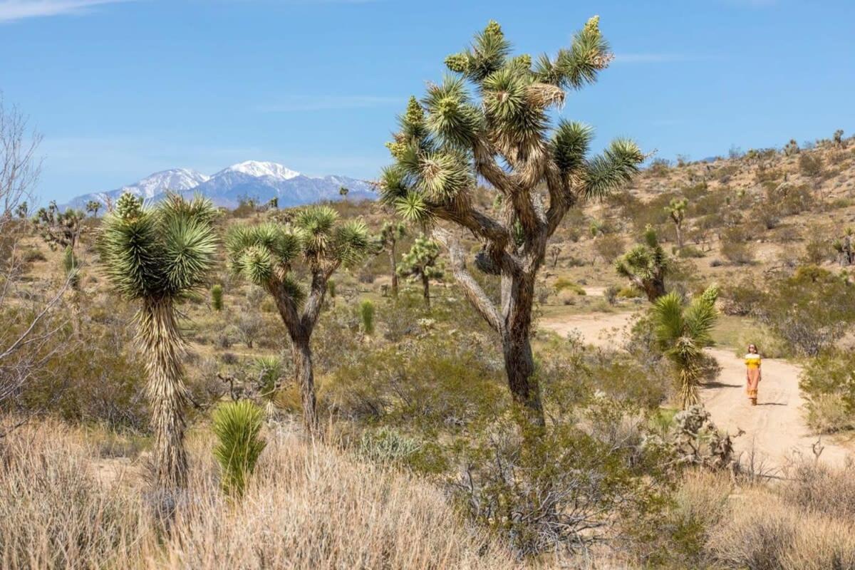 The Bungalows By Homestead Modern Joshua Tree Εξωτερικό φωτογραφία